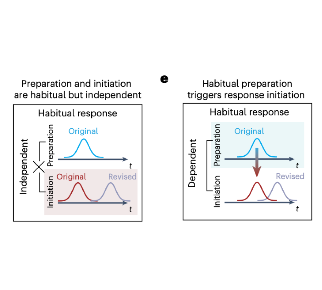 New paper in Nat. Hum. Behav.